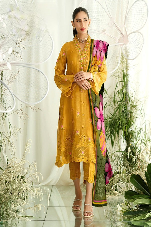 Pakistani digital outlet print suits